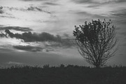 Mood collection, a Photo by Alekseyliss (Thumbnail 2 of 21)