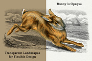 Vintage French Bunny Illustrations, an Animal Illustration by French Kiss Collections (Thumbnail 5 of 12)