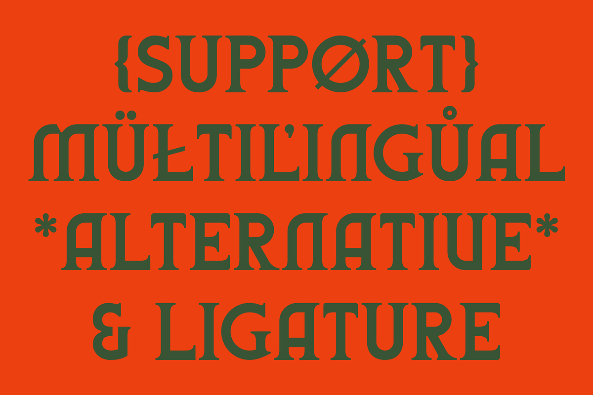 Mishca - Modern Serif, a Serif Font by Marvadesign (Photo 11 of 11)
