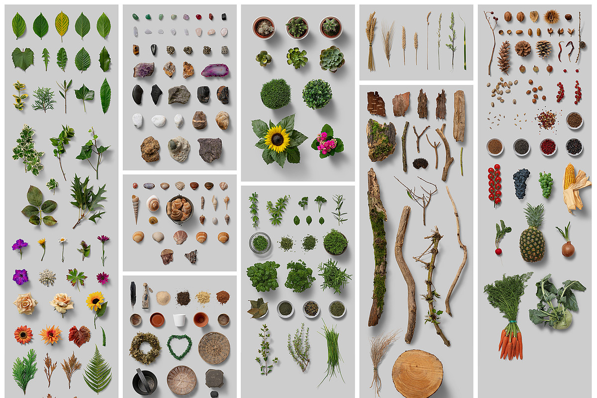 Nature Scene Generator, a Product Mockup by h3design (Photo 3 of 19)