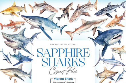 Watercolor Shark Clipart, Shark PNG, an Animal Illustration by BrushstrokeArtGB