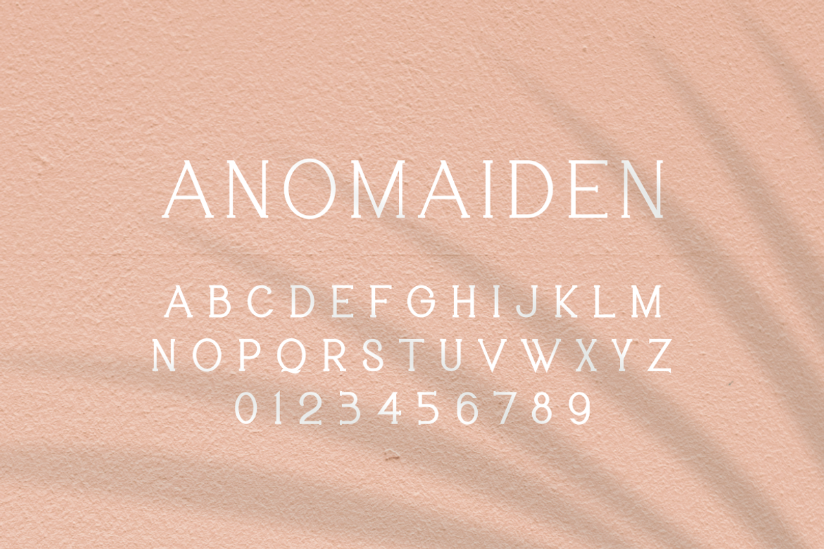 ANOMAIDEN MODERN SERIF FONT FAMILY, a Serif Font by lelevien (Photo 2 of 2)