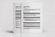Klin • Professional realistic resume, a Resume Template by Dragoș Neagu (Thumbnail 5 of 5)