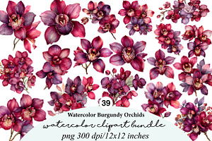 Watercolor Burgundy Orchids Clipart, an Illustration by Digital Artistic99