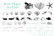 Sea life | Seamless Patterns, a Pattern Graphic by The Collective Studio (Thumbnail 6 of 8)