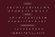 Astraal - Modern & Luxury, a Serif Font by BOOSH Studio (Thumbnail 10 of 12)