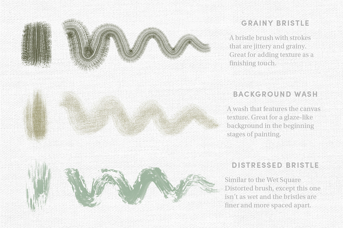 Classic Paints – Procreate Brushes, a Brush Add-On by Sadie Lew (Photo 11 of 16)