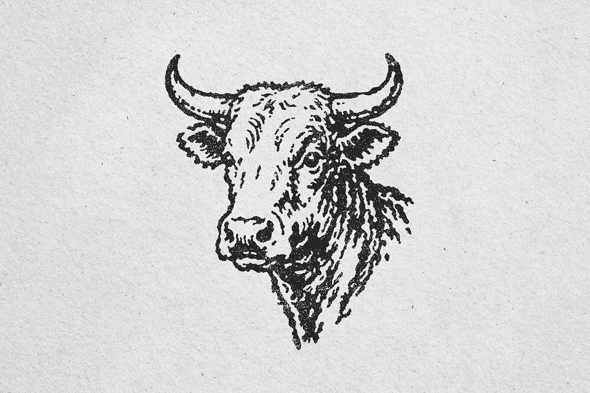Vintage Bull Head Illustration, an Animal Illustration by lettett (Photo 3 of 3)