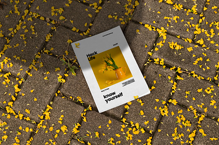 MF Rustic Book Cover Mockup