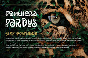 Rimba Andalas, a Font by Arterfak Project (Thumbnail 8 of 11)
