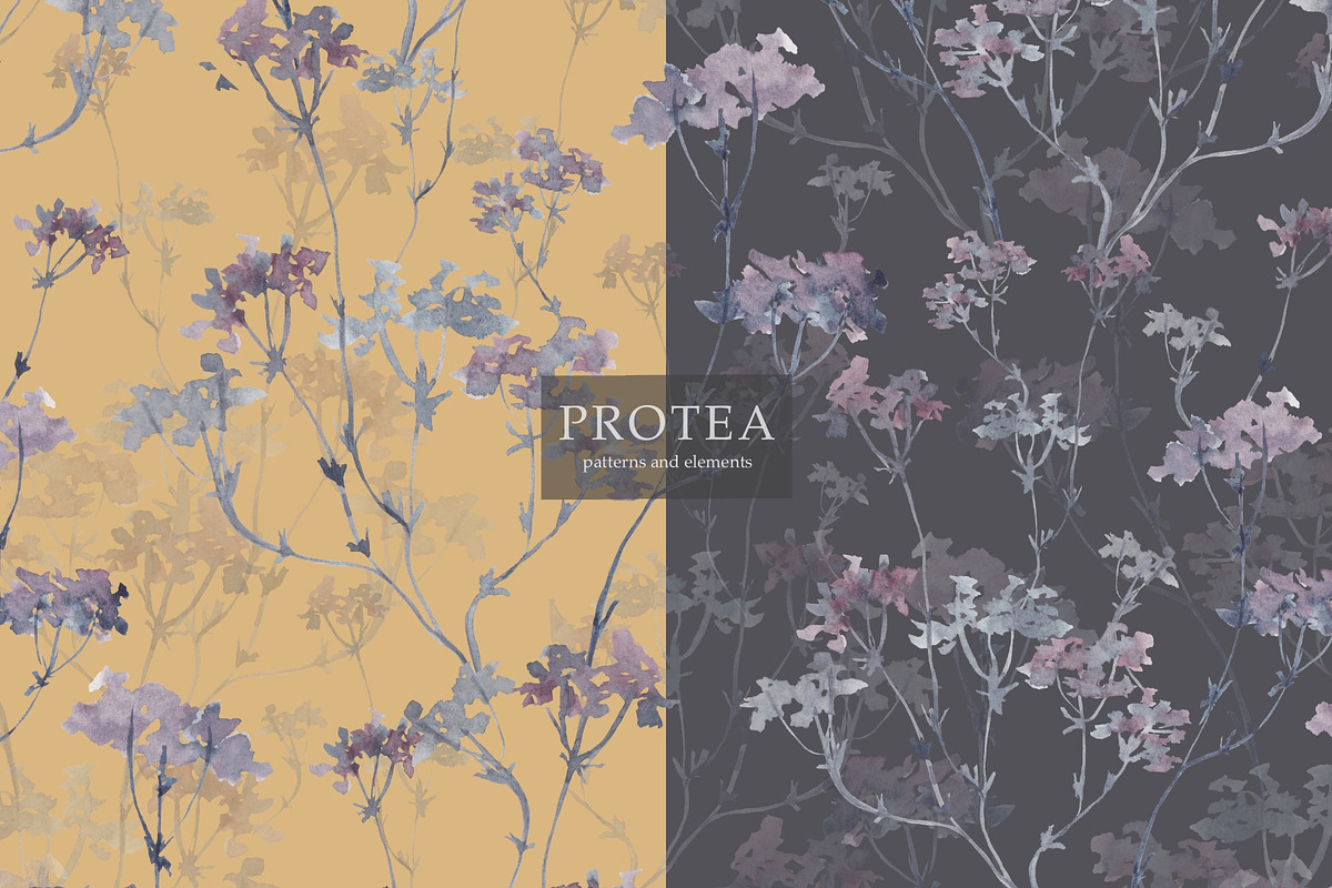 Patterns PROTEA, an Illustration by PASHKOVA (Photo 17 of 19)