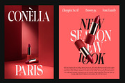 Choppin Serif | 91 Style Font, a Serif Font by Bosstype Studio (Thumbnail 3 of 15)