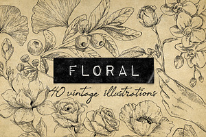 40 Vintage Floral Illustrations