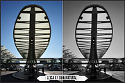Leica Film Styles, a Plug-in Add-On by Raztrend (Thumbnail 15 of 30)