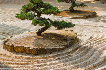 A serene Zen garden with carefully r, a Photo by Iftikhar Alam