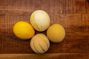 Melons of four different varieties l, a Food & Drink Photo by Photo Kaminski