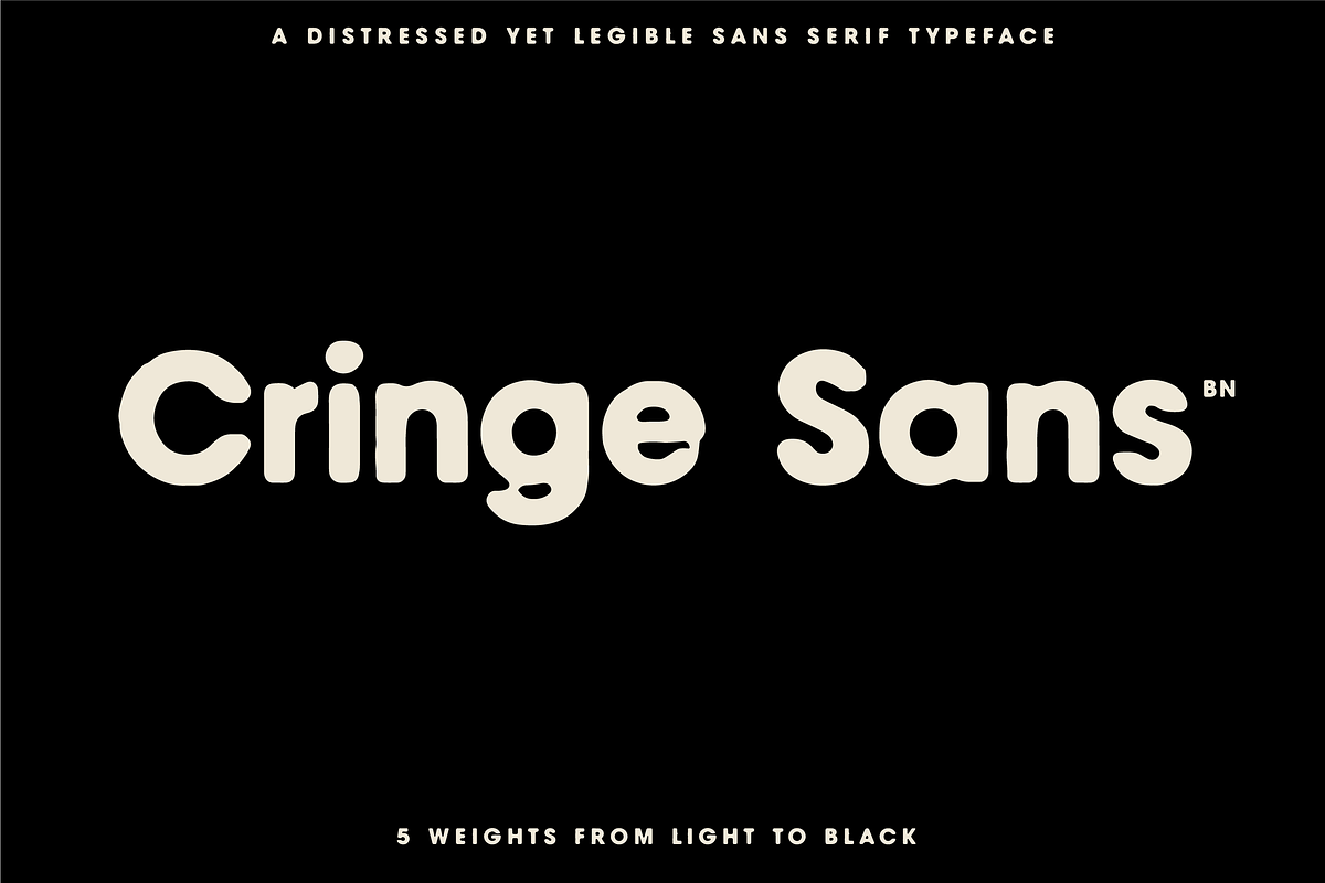 The Diverse Font Bundle, a Sans Serif Font by Bnick (Photo 20 of 34)