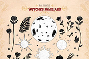 Witches Familiars, an Animal Illustration by Ink Stories (Thumbnail 26 of 44)