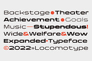 Taruno Wide Font Family, a Sans Serif Font by Locomotype (Thumbnail 7 of 13)
