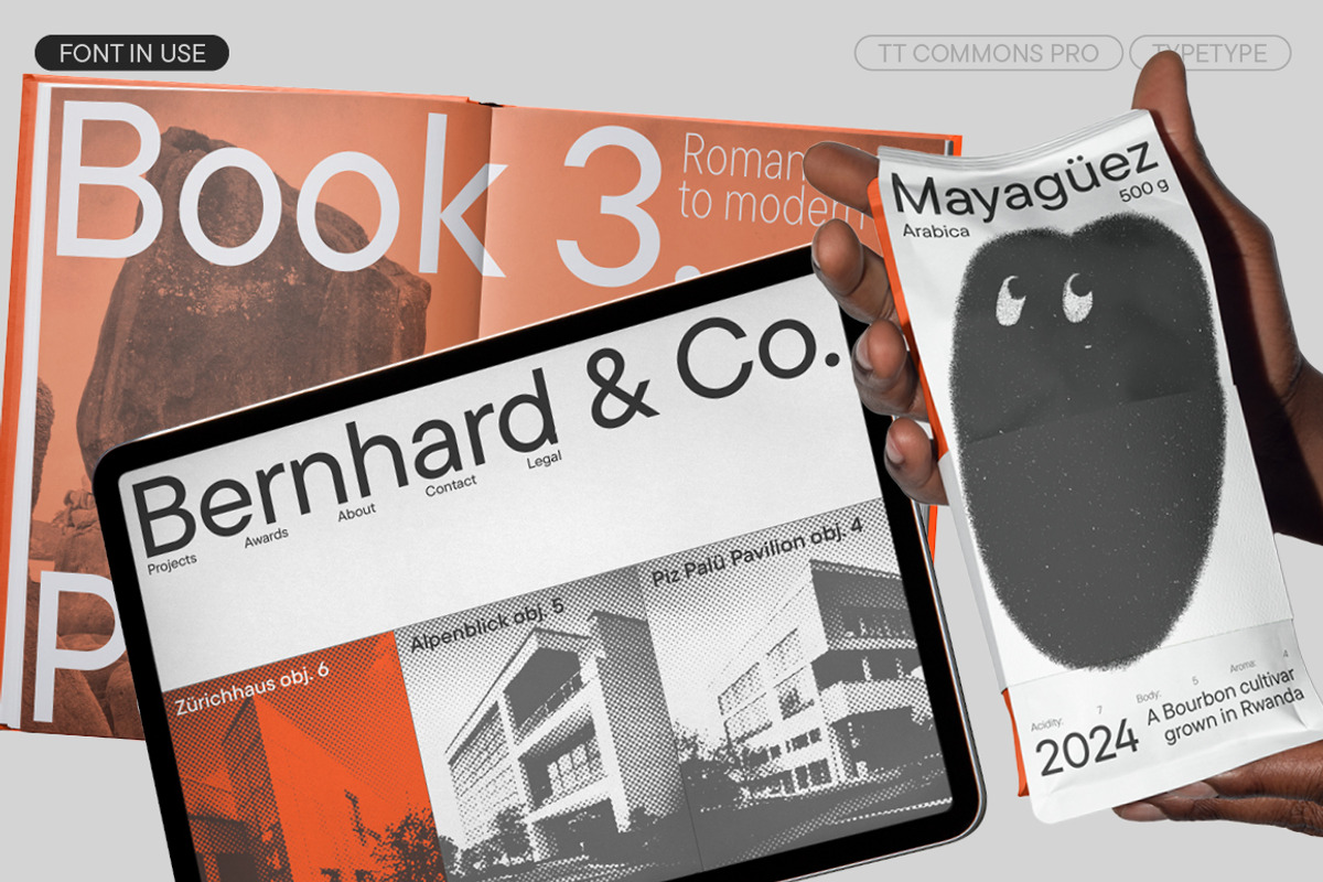 TT Commons Pro Basic, a Sans Serif Font by TypeType (Photo 2 of 15)