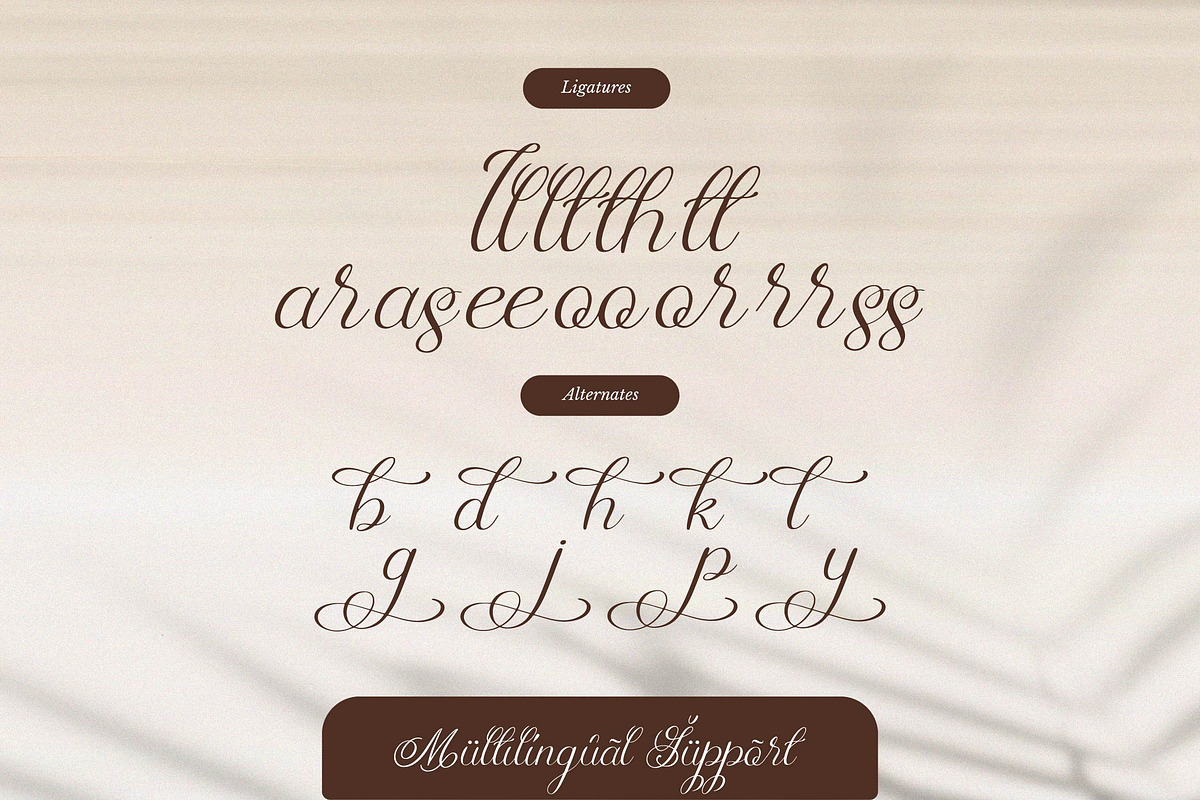 Rellydon Beautiful Calligraphy Font, a Script Font by Denustudios (Photo 12 of 13)