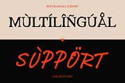 Gayalie Swimwear - Font Duo, a Serif Font by Afkari Studio (Thumbnail 3 of 10)