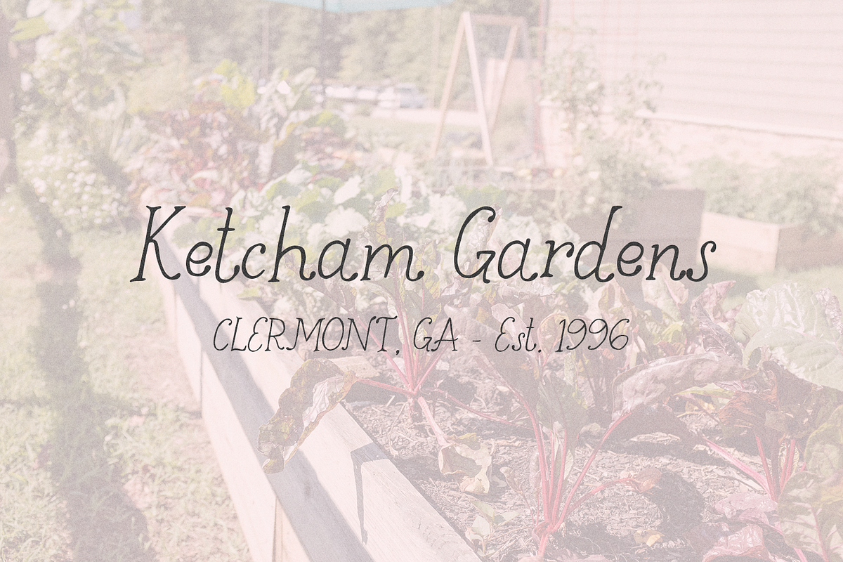 Goldenroot Serif A Rustic Font, a Handwritten Font by Beck McCormick (Photo 6 of 10)