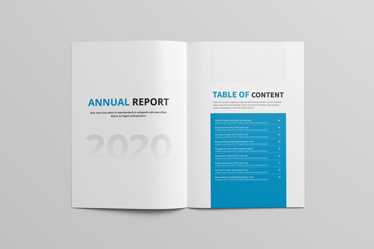 Annual Report Brochure, a Brochure Template by New Lines (Photo 3 of 14)
