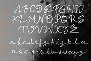 Loyalneha Brush Script, a Script Font by madeDeduk (Thumbnail 2 of 8)