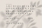 Miglem Elegant Ligature Serif Font, a Serif Font by Perfectype (Thumbnail 7 of 8)