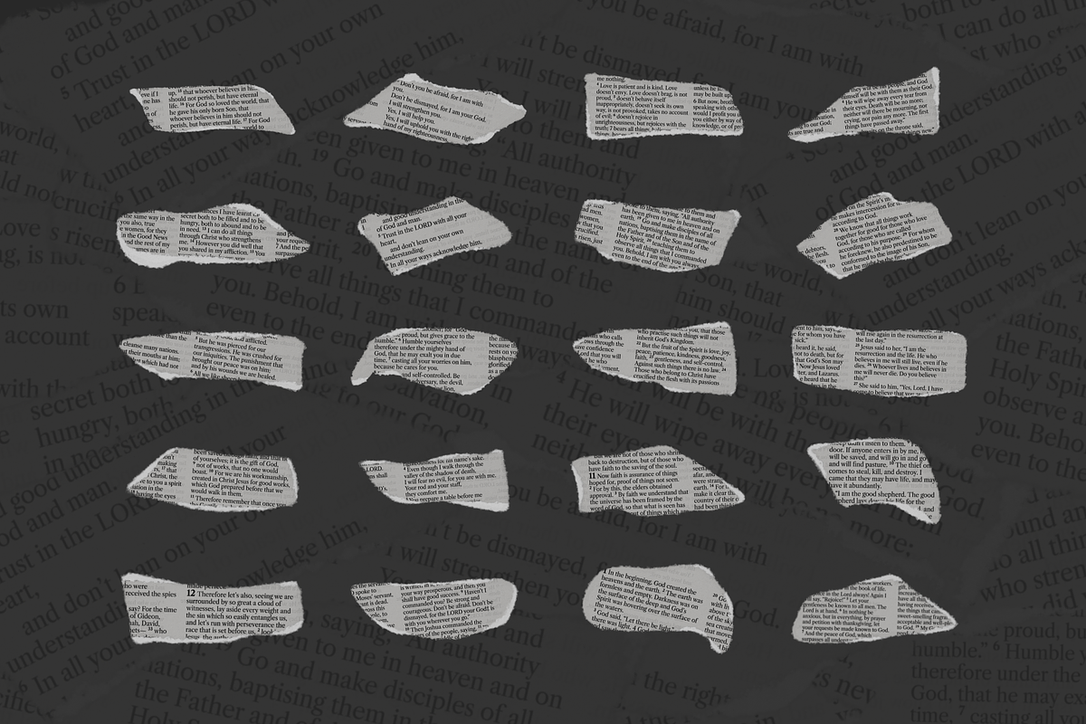 20 Ripped Bible Verse Assets, an Object Graphic by Greater Worth (Photo 2 of 9)