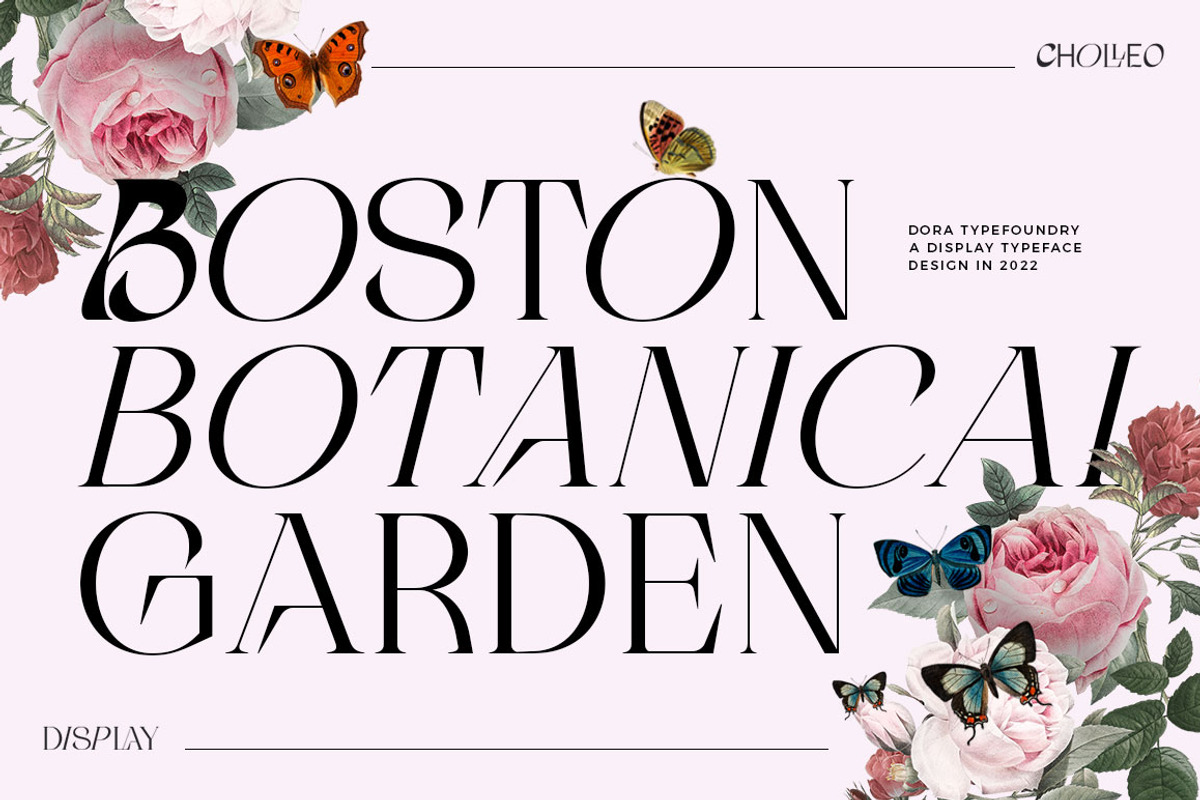 Cholleo Display, a Serif Font by Dora Typefoundry (Photo 3 of 18)