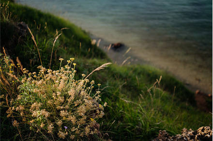 Beautiful landscape of Croatia, a Holiday Photo by HalfPoint