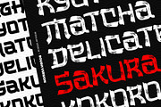 The Last Shuriken - Rough Version, a Handwritten Font by Arterfak Project (Thumbnail 10 of 13)