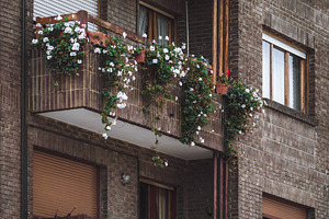 Urban balcony with ivy and flowers, an Architecture Photo by SkyNext