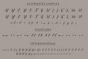 Mellisa Modern Handwritten Font, a Handwritten Font by Guavanaboy (Thumbnail 7 of 8)