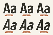 Iron Crates - A Sans Font Collection, a Sans Serif Font by Martype (Thumbnail 4 of 12)