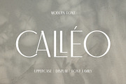 Calleo, a Sans Serif Font by OWL KING