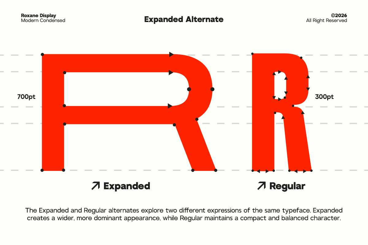 GC Roxane – Modern Display Condensed, a Sans Serif Font by Glyphonic (Photo 7 of 15)