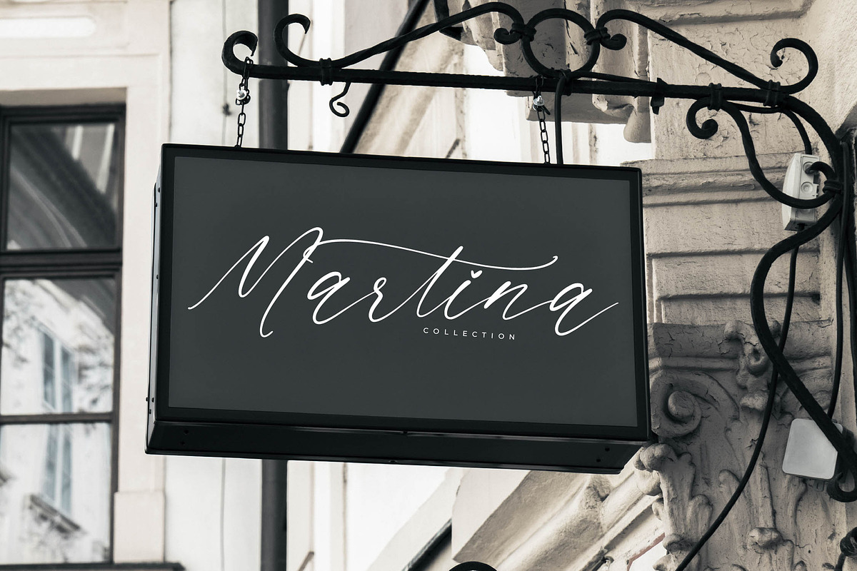 Saltngos Modern Calligraphy, a Script Font by Letterena Studios Script (Photo 7 of 15)