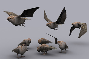 SPARROW with Native File