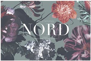 Nord, Classic Dutch Floral Patterns!