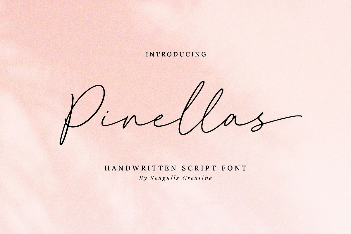 Pinellas Handwritten Script Font