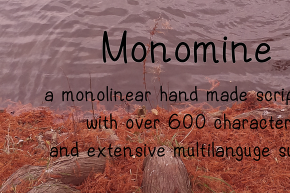 Monomine, a mono-linear fluid font preview 3