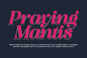 Saficel | With 18 Font, a Serif Font by Pista Mova (Thumbnail 11 of 12)