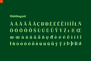 Niecher-Serif Display, a Serif Font by takoliko (Thumbnail 13 of 13)