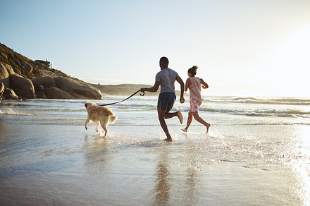 Exercise, couple and dog at the beach for running, training and fitness, cardio and mockup space. Family, wellness and pet workout at sunrise, ocean and water run while bonding with their labrador, a Photo by Peopleimages.com