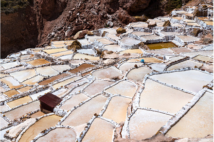 Salt Mines of Maras in Peru, an Architecture Photo by Leonid Andronov