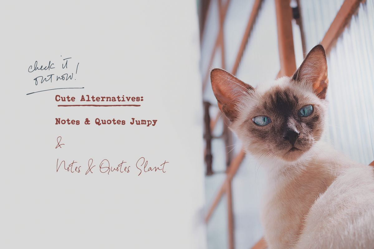 Notes And Quotes Font Duo, a Serif Font by Ana's Fonts (Photo 11 of 11)