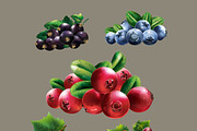 82 Fruits, Berries and Vegetables, an Object Graphic by ConceptCafe (Thumbnail 3 of 6)